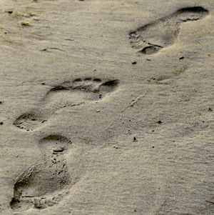 Bare Human Footprints in November